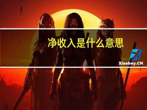 净收入是什么意思