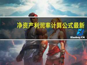净资产利润率计算公式最新（净资产利润率计算公式）