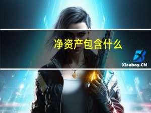 净资产包含什么