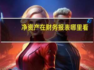 净资产在财务报表哪里看