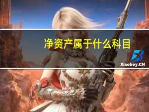 净资产属于什么科目
