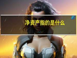 净资产指的是什么