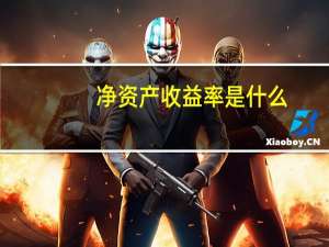 净资产收益率是什么_