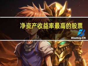 净资产收益率最高的股票