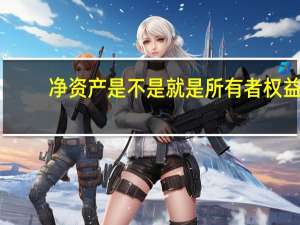 净资产是不是就是所有者权益
