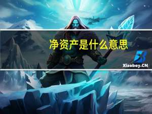 净资产是什么意思_