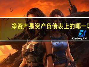 净资产是资产负债表上的哪一项