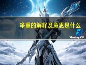 净重的解释及意思是什么