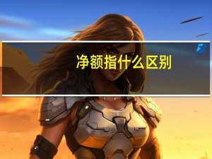 净额指什么区别