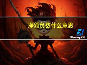 净额负数什么意思