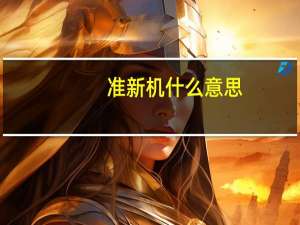 准新机什么意思