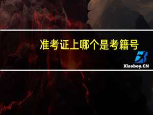 准考证上哪个是考籍号