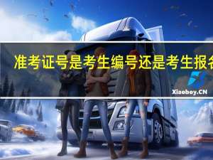 准考证号是考生编号还是考生报名号
