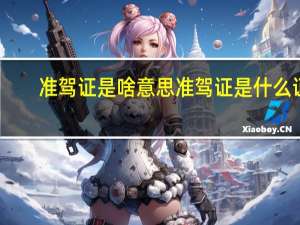 准驾证是啥意思 准驾证是什么证