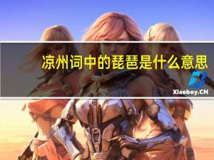 凉州词中的琵琶是什么意思