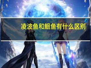 凌波鱼和鮰鱼有什么区别（凌波鱼）