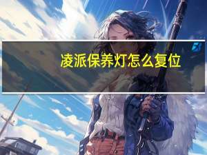 凌派保养灯怎么复位