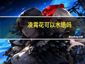 凌霄花可以水培吗