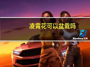 凌霄花可以盆栽吗