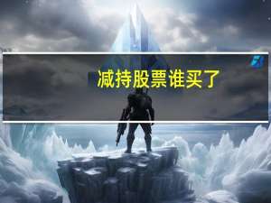 减持股票谁买了