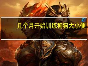 几个月开始训练狗狗大小便
