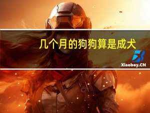 几个月的狗狗算是成犬
