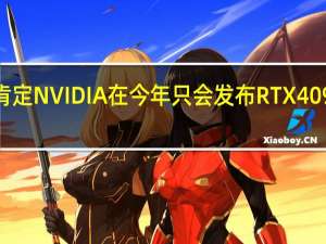 几乎可以肯定NVIDIA在今年只会发布RTX 4090这样一款显卡