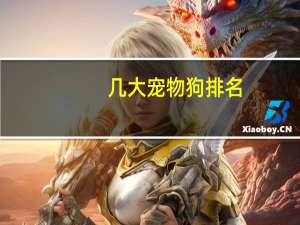 几大宠物狗排名