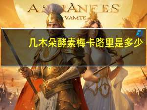 几木朵 酵素梅卡路里是多少