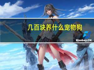 几百块养什么宠物狗