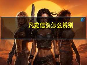 凡龙信鸽怎么辨别