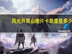 凤光 开胃山楂片卡路里是多少