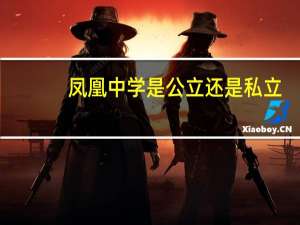凤凰中学是公立还是私立