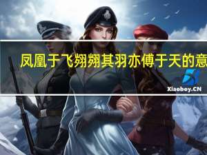 凤凰于飞翙翙其羽亦傅于天的意思