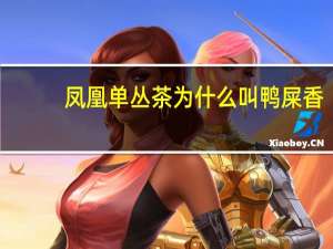 凤凰单丛茶为什么叫鸭屎香