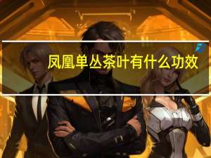 凤凰单丛茶叶有什么功效（凤凰单丛茶的功效与作用）