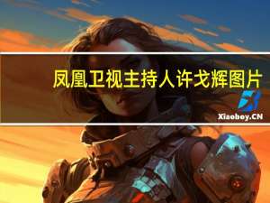 凤凰卫视主持人许戈辉图片（许戈辉-凤凰卫视著名主持人介绍）