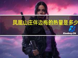 凤凰山庄 伴边梅的热量是多少