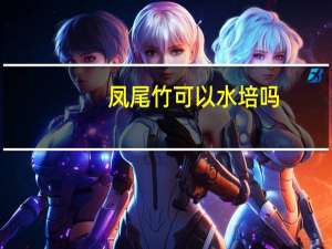 凤尾竹可以水培吗