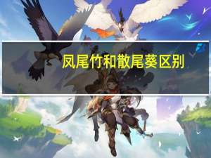 凤尾竹和散尾葵区别：散尾葵和凤尾竹所属种类不同