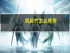 凤尾竹怎么修剪