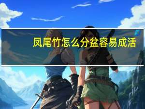 凤尾竹怎么分盆容易成活