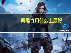 凤尾竹用什么土最好