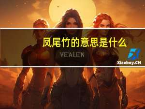 凤尾竹的意思是什么