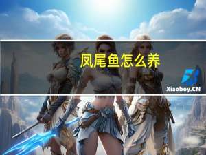 凤尾鱼怎么养