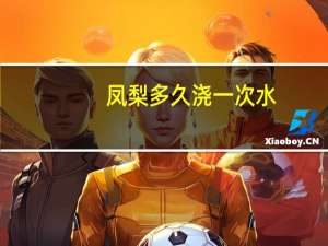 凤梨多久浇一次水