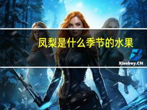 凤梨是什么季节的水果