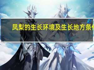 凤梨的生长环境及生长地方条件