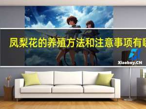 凤梨花的养殖方法和注意事项有哪些