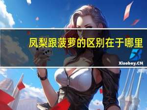 凤梨跟菠萝的区别在于哪里